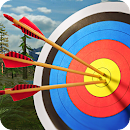 ARCHERY MASTER 3D CHEAT