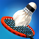 BADMINTON LEAGUE CHEAT