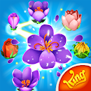 BLOSSOM BLAST SAGA CHEAT