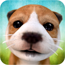 DOG SIMULATOR CHEAT