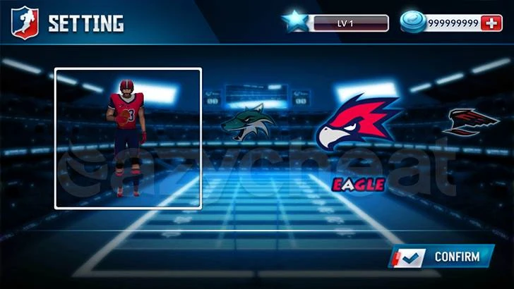 FANATICAL FOOTBALL CHEAT