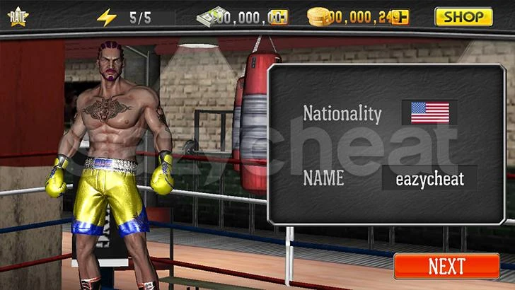 PUNCH BOXING 3D CHEAT