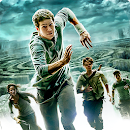 THE MAZE RUNNER CHEAT